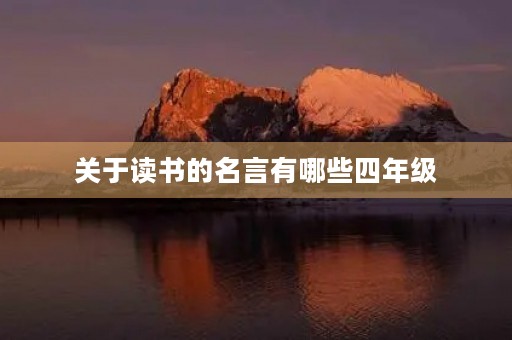 关于读书的名言有哪些四年级(关于读书的名言有哪些四年级下册)
