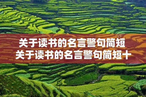 关于读书的名言警句简短 关于读书的名言警句简短十字