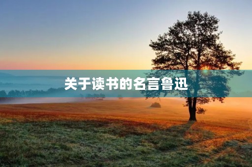 关于读书的名言鲁迅(十句关于读书的名言鲁迅) 关于读书的名言鲁迅(十句关于读书的名言鲁迅)