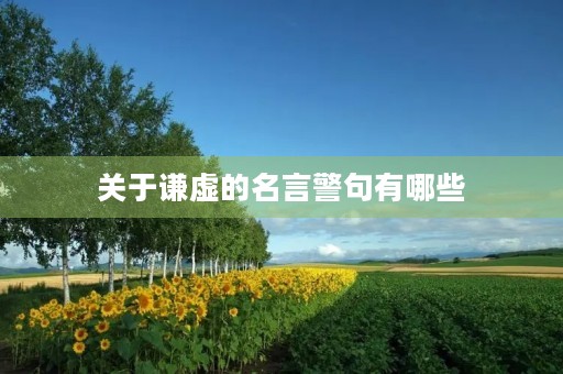 关于谦虚的名言警句有哪些，关于谦虚的名言警句有哪些要三个