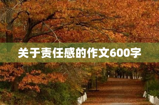 关于责任感的作文600字