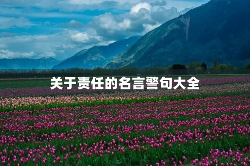 关于责任的名言警句大全,关于责任的名言警句大全简短 关于责任的名言警句大全,关于责任的名言警句大全简短