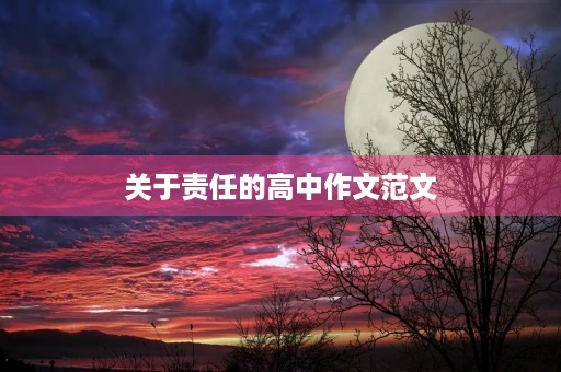 关于责任的高中作文范文 关于责任的高中作文范文