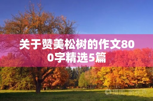关于赞美松树的作文800字精选5篇