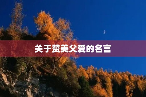 关于赞美父爱的名言(关于赞美父爱的名言名句) 关于赞美父爱的名言(关于赞美父爱的名言名句)