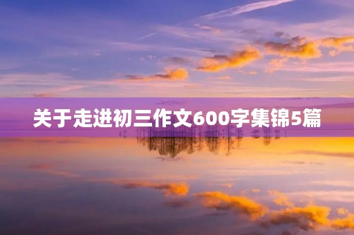 关于走进初三作文600字集锦5篇