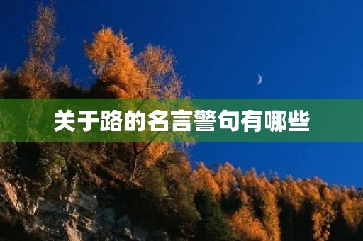 关于路的名言警句有哪些(关于路的名言警句有哪些带作者)
