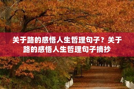 关于路的感悟人生哲理句子?关于路的感悟人生哲理句子摘抄 关于路的感悟人生哲理句子?关于路的感悟人生哲理句子摘抄
