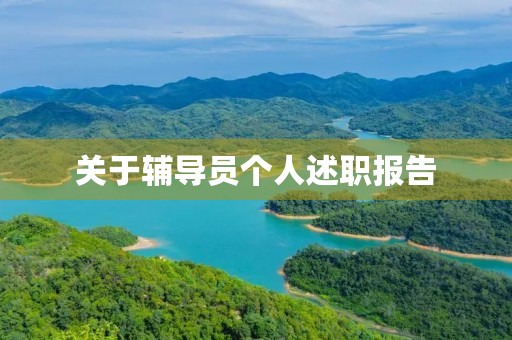 关于辅导员个人述职报告