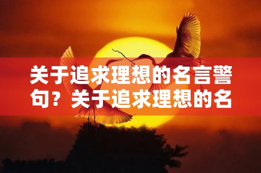 关于追求理想的名言警句？关于追求理想的名言警句有哪些
