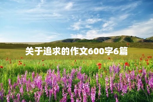 关于追求的作文600字6篇 关于追求的作文600字6篇