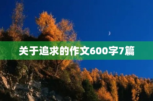 关于追求的作文600字7篇