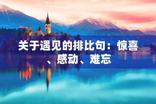 关于遇见的排比句：惊喜、感动、难忘