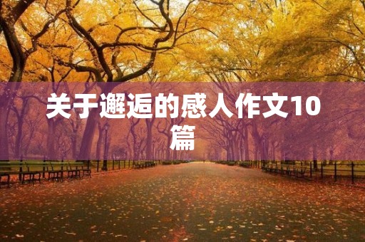 关于邂逅的感人作文10篇