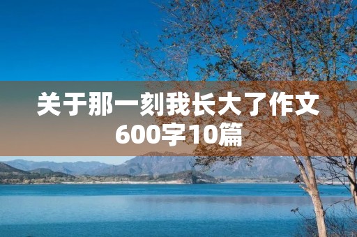 关于那一刻我长大了作文600字10篇