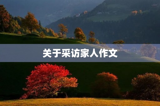 关于采访家人作文 关于采访家人作文