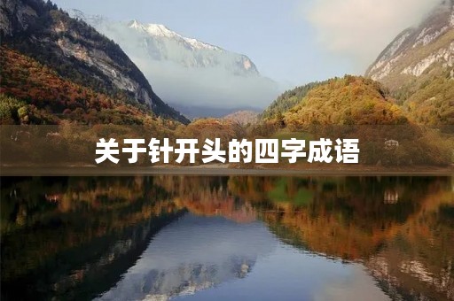 关于针开头的四字成语 关于针开头的四字成语