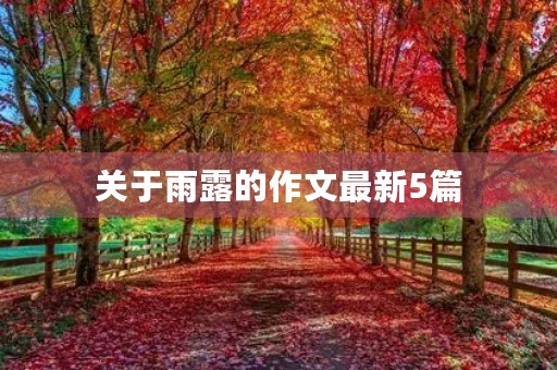 关于雨露的作文最新5篇