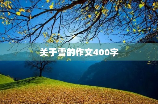 关于雪的作文400字