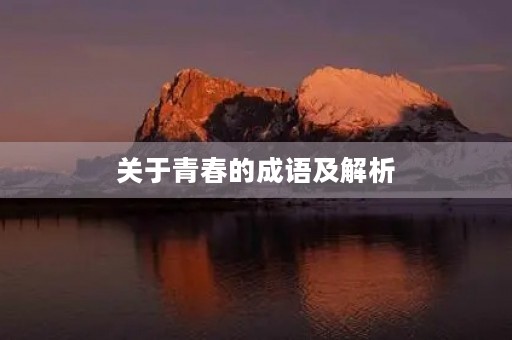 关于青春的成语及解析