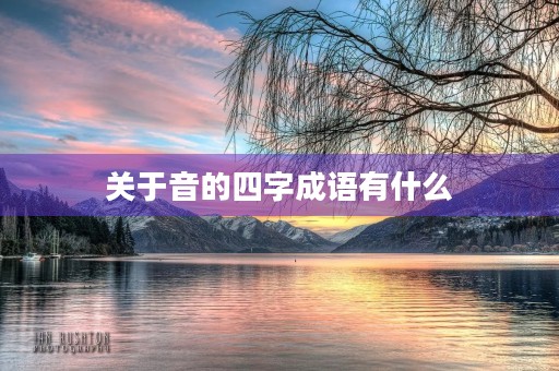 关于音的四字成语有什么