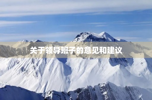 关于领导班子的意见和建议