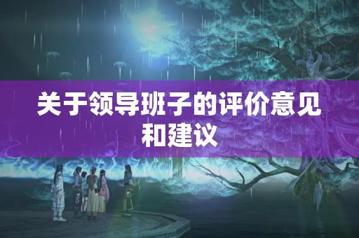 关于领导班子的评价意见和建议
