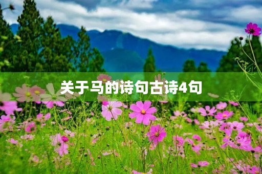 关于马的诗句古诗4句,关于马的诗句古诗4句有哪些 关于马的诗句古诗4句,关于马的诗句古诗4句有哪些