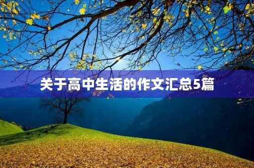 关于高中生活的作文汇总5篇 关于高中生活的作文汇总5篇