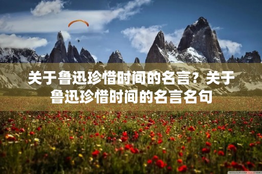 关于鲁迅珍惜时间的名言?关于鲁迅珍惜时间的名言名句 关于鲁迅珍惜时间的名言?关于鲁迅珍惜时间的名言名句