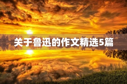 关于鲁迅的作文精选5篇 关于鲁迅的作文精选5篇