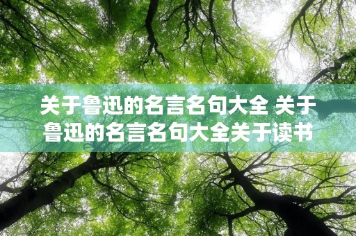 关于鲁迅的名言名句大全 关于鲁迅的名言名句大全关于读书