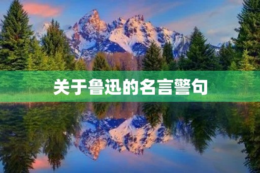 关于鲁迅的名言警句(关于鲁迅的名言警句短句)