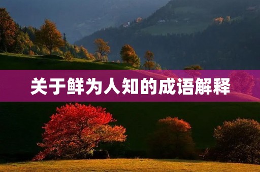 关于鲜为人知的成语解释