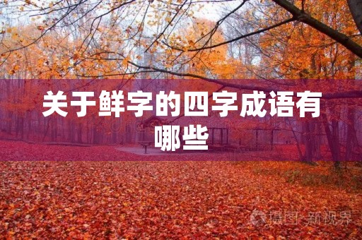 关于鲜字的四字成语有哪些