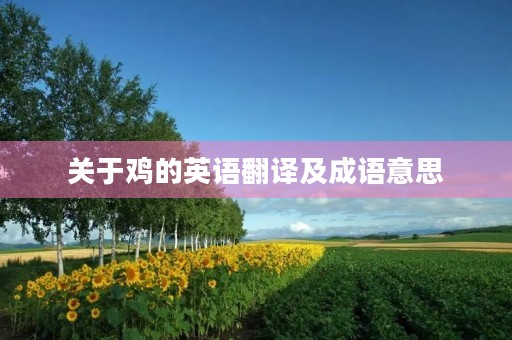 关于鸡的英语翻译及成语意思
