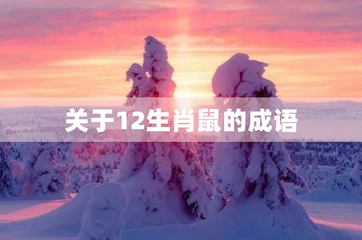 关于12生肖鼠的成语