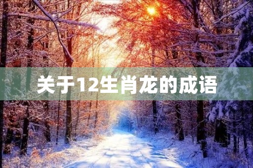 关于12生肖龙的成语