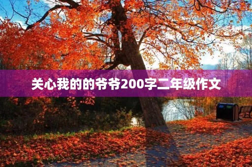 关心我的的爷爷200字二年级作文