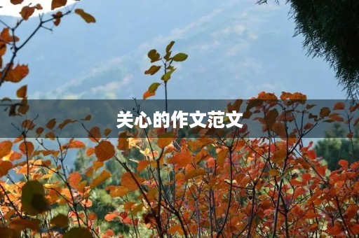 关心的作文范文 关心的作文范文