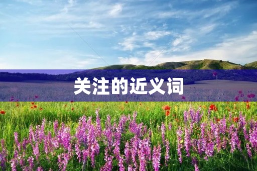 关注的近义词(关注的近义词) 关注的近义词(关注的近义词)