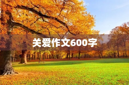 关爱作文600字 关爱作文600字