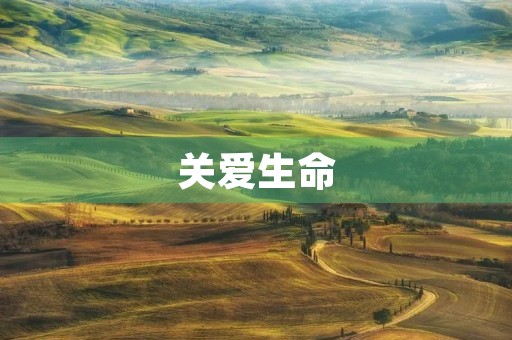 关爱生命，珍惜每一天