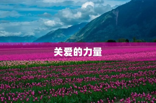 关爱的力量 关爱的力量