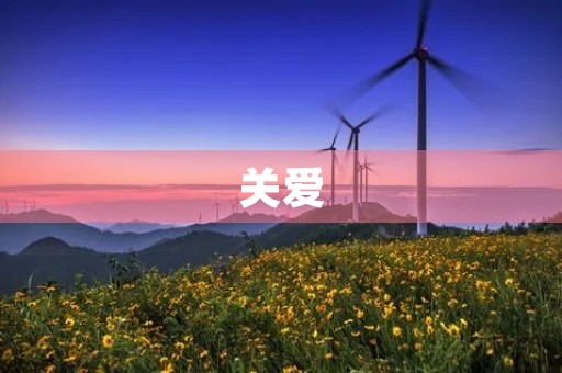 关爱，班级，同学，家人，社会