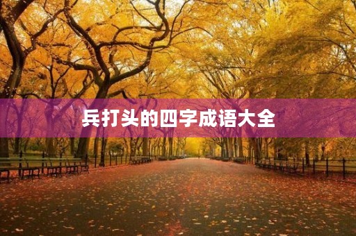 兵打头的四字成语大全