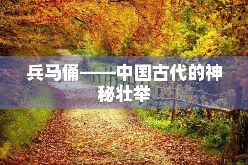 兵马俑——中国古代的神秘壮举 兵马俑——中国古代的神秘壮举