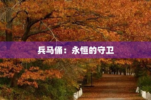 兵马俑:永恒的守卫 兵马俑:永恒的守卫