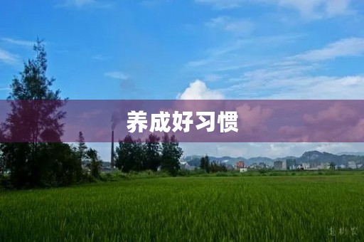 养成好习惯,从小事做起 养成好习惯,从小事做起