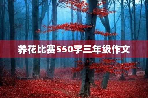 养花比赛550字三年级作文 养花比赛550字三年级作文